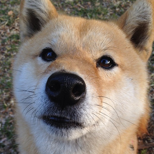 VALORANT 多支强队展开激烈争夺，valorant比赛规则