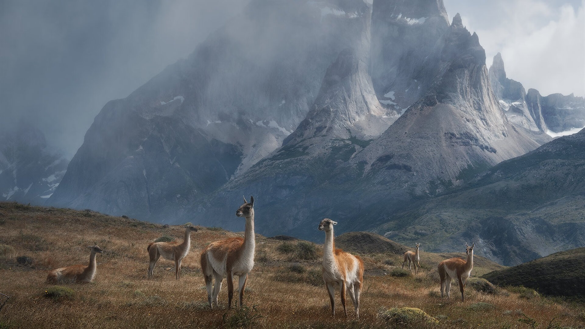 VALORANT 明星中单选手状态回暖，valorant比赛