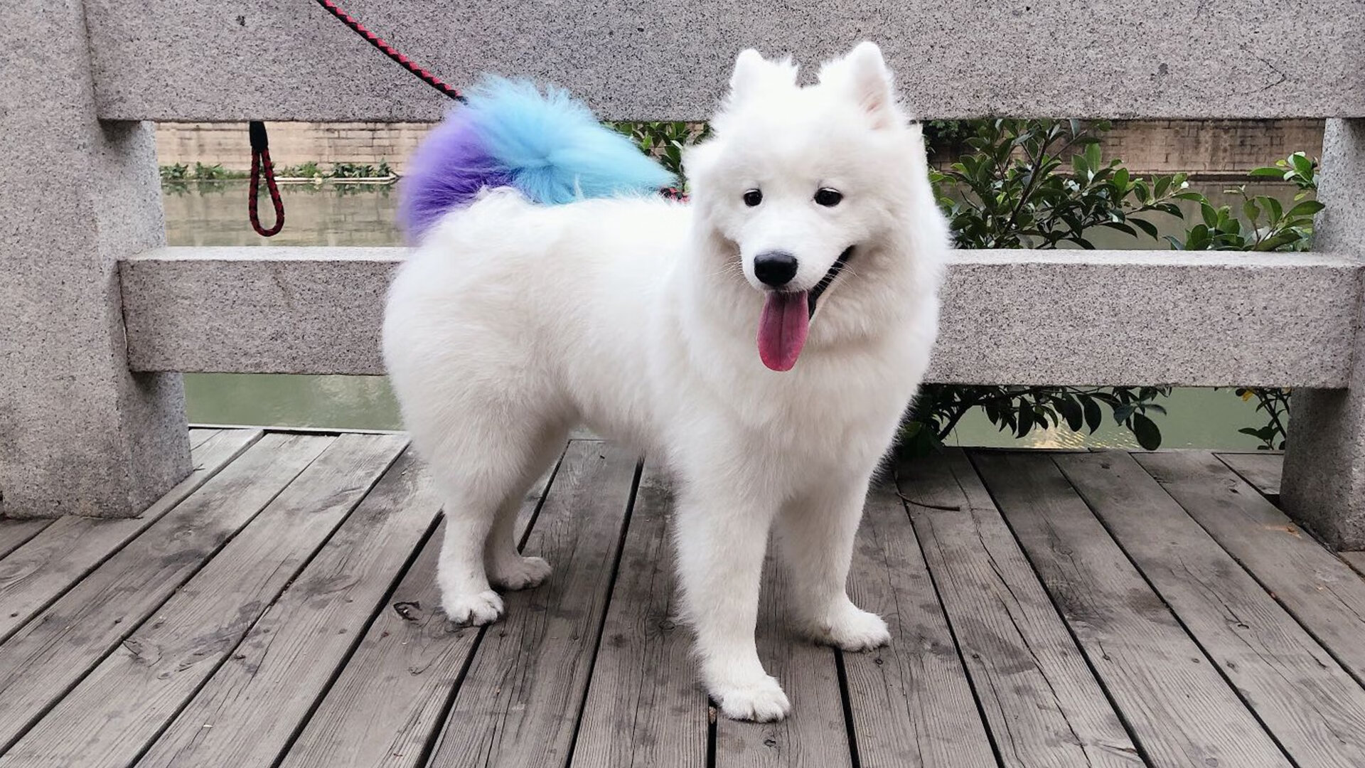 _凯子猛袭快船，旗开得胜势不可挡_，凯子百度百科