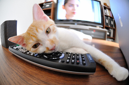 爱游戏电竞同步-“法甲争冠形势日趋明朗，豪门竞争激烈”，法甲豪门有哪些