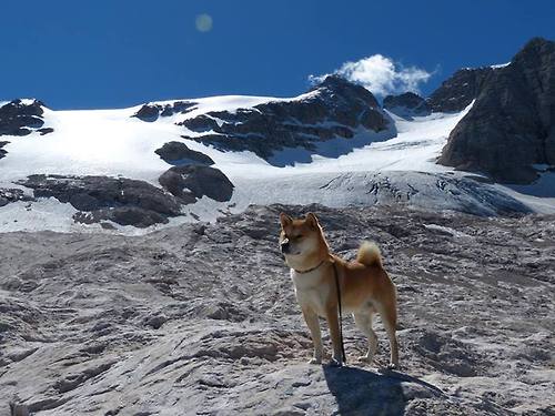 传统武艺光影秀:文化之美在运动中绽放